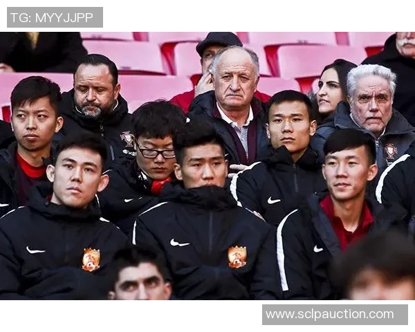 阿斌聊足球：深入解析足球战术与球员表现的精彩对话