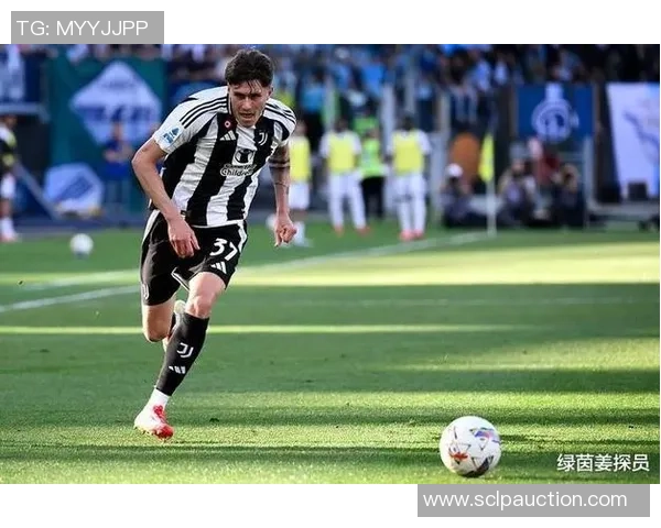 迪马拉足球：探索足球的魅力与激情，连接梦想与现实的绿茵之路